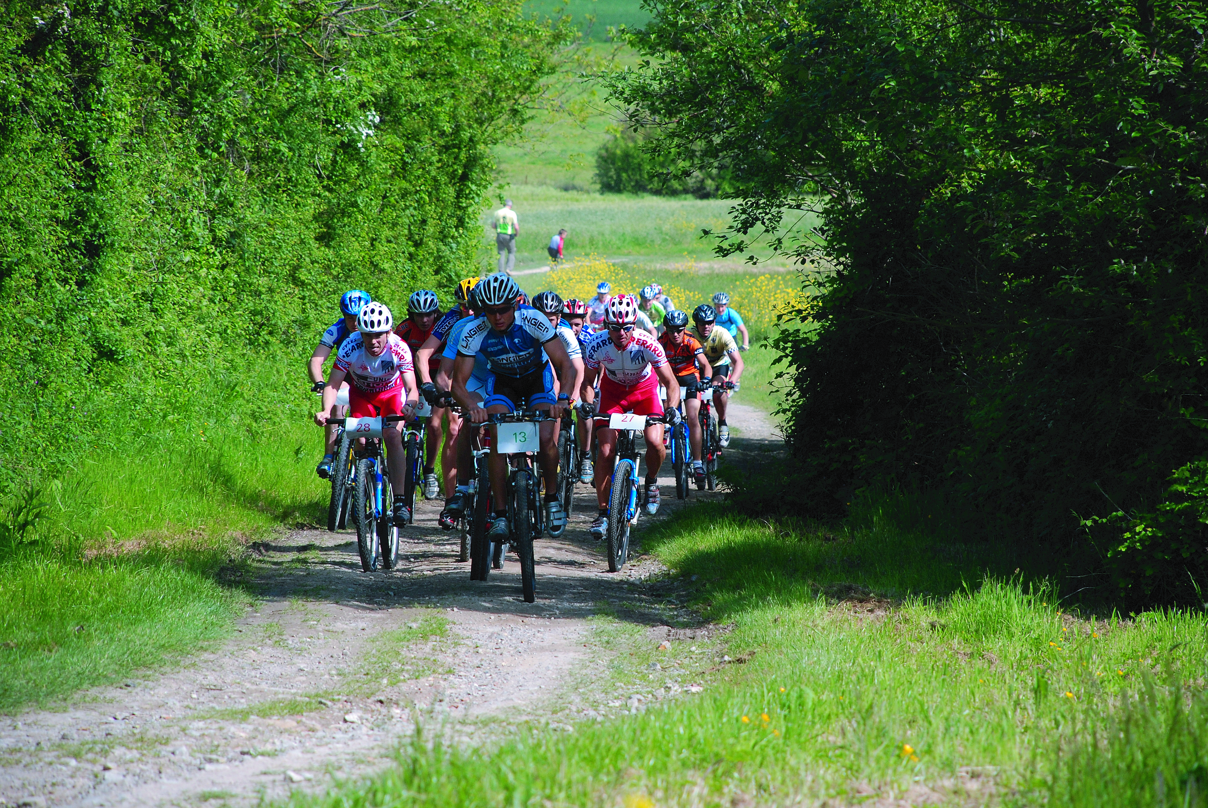 Comment obtenir des idées de randonnée ?